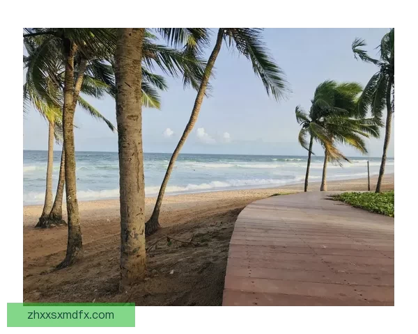 三亚天涯海角：不止网红打卡，更是浪漫与哲思的交响